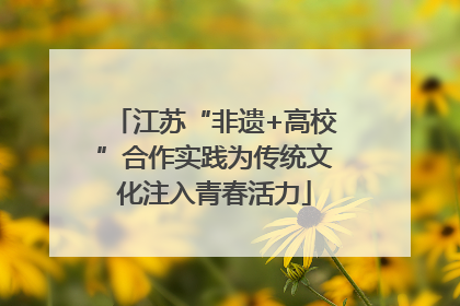 江苏“非遗+高校”合作实践为传统文化注入青春活力