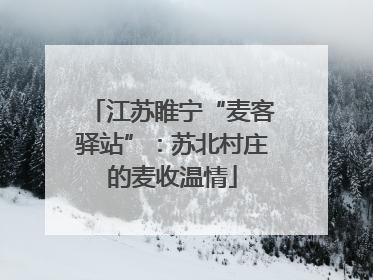 江苏睢宁“麦客驿站”：苏北村庄的麦收温情