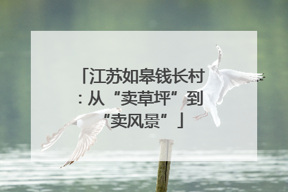 江苏如皋钱长村：从“卖草坪”到“卖风景”