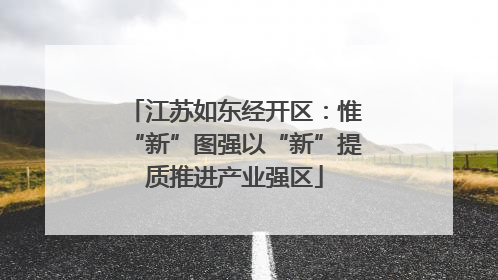 江苏如东经开区：惟“新”图强以“新”提质推进产业强区