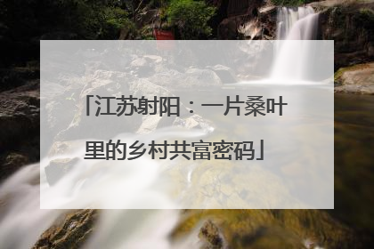 江苏射阳：一片桑叶里的乡村共富密码