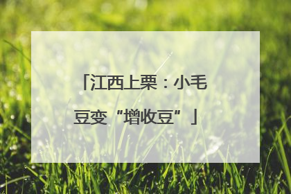 江西上栗：小毛豆变“增收豆”