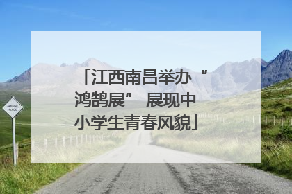江西南昌举办“鸿鹄展” 展现中小学生青春风貌