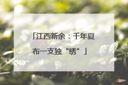 江西新余：千年夏布一支独“绣”