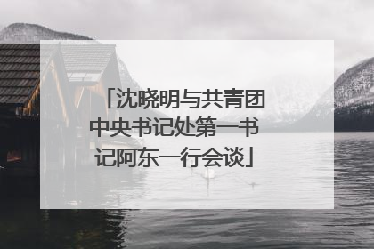 沈晓明与共青团中央书记处第一书记阿东一行会谈