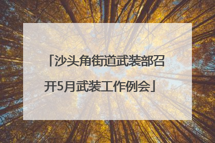 沙头角街道武装部召开5月武装工作例会