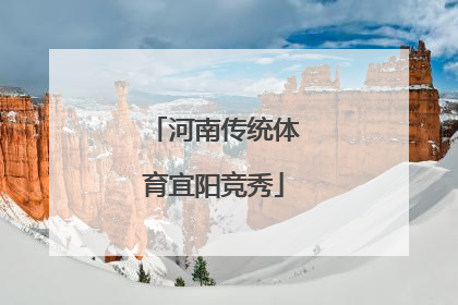 河南传统体育宜阳竞秀