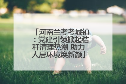 河南兰考考城镇：党建引领掀起秸秆清理热潮 助力人居环境焕新颜