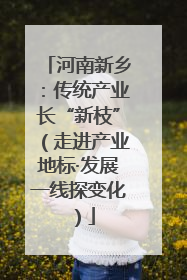河南新乡：传统产业长“新枝”（走进产业地标·发展一线探变化）