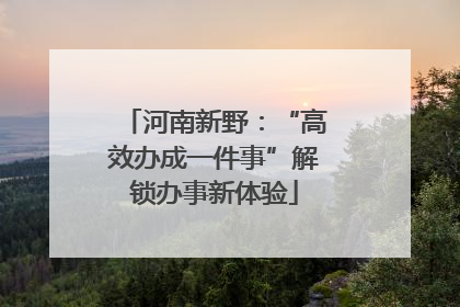 河南新野：“高效办成一件事”解锁办事新体验