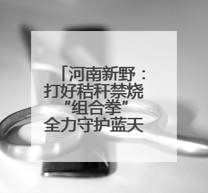 河南新野：打好秸秆禁烧“组合拳” 全力守护蓝天沃土