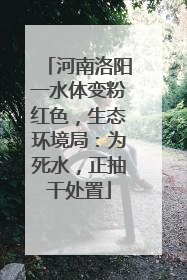 河南洛阳一水体变粉红色，生态环境局：为死水，正抽干处置