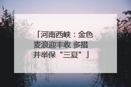 河南西峡：金色麦浪迎丰收 多措并举保“三夏”