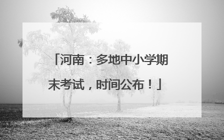 河南：多地中小学期末考试，时间公布！