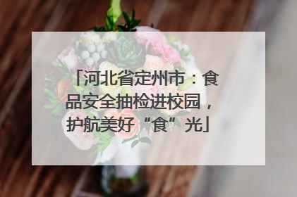河北省定州市：食品安全抽检进校园，护航美好“食”光