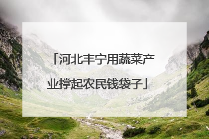 河北丰宁用蔬菜产业撑起农民钱袋子