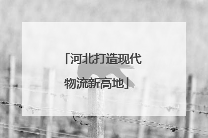 河北打造现代物流新高地