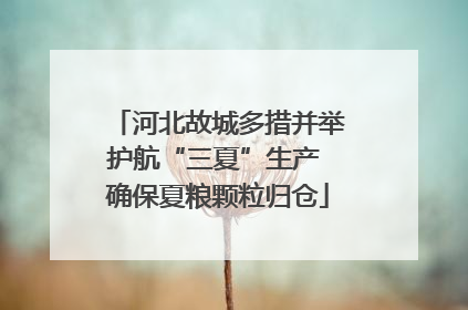 河北故城多措并举护航“三夏”生产 确保夏粮颗粒归仓