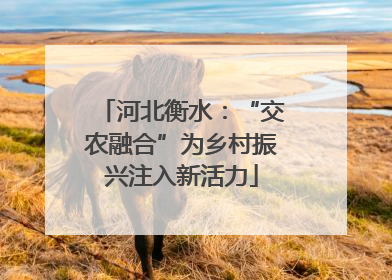 河北衡水：“交农融合”为乡村振兴注入新活力