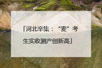 河北辛集：“麦”考生实收测产创新高
