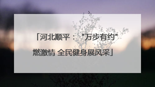河北顺平：“万步有约”燃激情 全民健身展风采