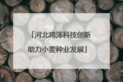 河北鸡泽科技创新助力小麦种业发展