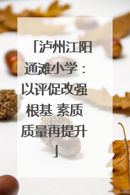 泸州江阳通滩小学：以评促改强根基 素质质量再提升