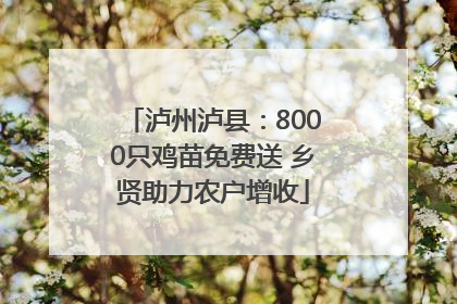 泸州泸县：8000只鸡苗免费送 乡贤助力农户增收