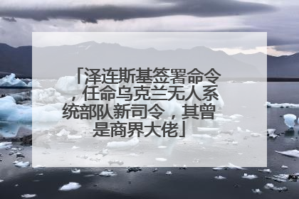 泽连斯基签署命令，任命乌克兰无人系统部队新司令，其曾是商界大佬
