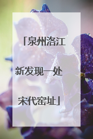 泉州洛江新发现一处宋代窑址