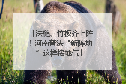 法槌、竹板齐上阵！河南普法“新阵地”这样接地气