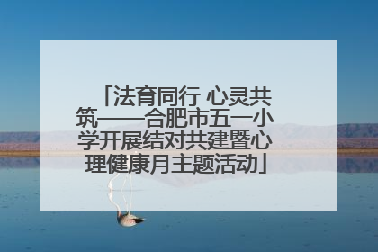 法育同行 心灵共筑——合肥市五一小学开展结对共建暨心理健康月主题活动