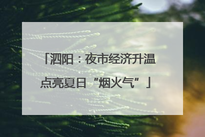泗阳：夜市经济升温 点亮夏日“烟火气”