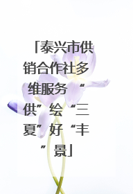泰兴市供销合作社多维服务 “供”绘“三夏”好“丰”景