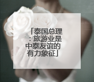 泰国总理：旅游业是中泰友谊的有力象征