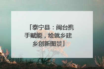 泰宁县：闽台携手赋能，绘就乡建乡创新图景