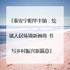 泰安宁阳华丰镇：绘就人居环境新画卷 书写乡村振兴新篇章