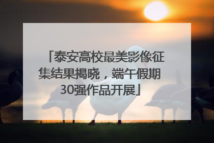 泰安高校最美影像征集结果揭晓，端午假期30强作品开展
