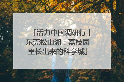 活力中国调研行丨东莞松山湖：荔枝园里长出来的科学城