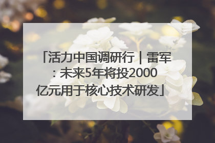 活力中国调研行｜雷军：未来5年将投2000亿元用于核心技术研发