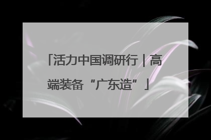 活力中国调研行｜高端装备“广东造”