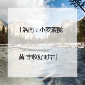 洛南：小麦覆陇黄 丰收好时节