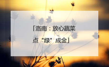 洛南：放心蔬菜点“绿”成金