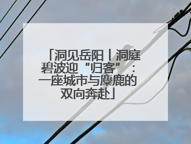 洞见岳阳丨洞庭碧波迎“归客”：一座城市与麋鹿的双向奔赴