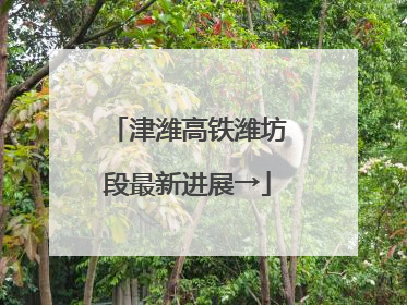 津潍高铁潍坊段最新进展→