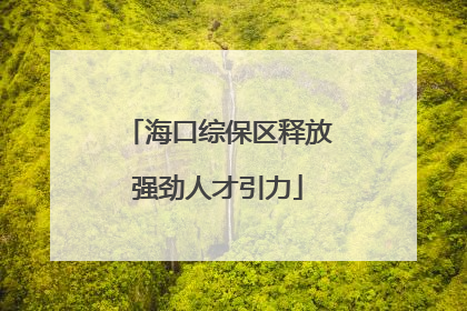 海口综保区释放强劲人才引力