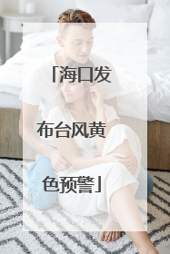 海口发布台风黄色预警