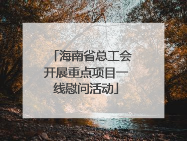 海南省总工会开展重点项目一线慰问活动