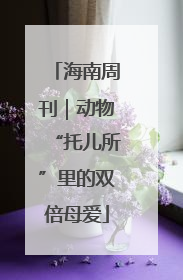 海南周刊｜动物“托儿所”里的双倍母爱