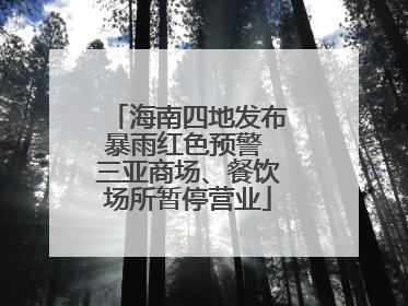 海南四地发布暴雨红色预警 三亚商场、餐饮场所暂停营业